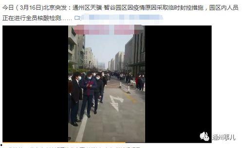 近日北京网友爆料新闻,惊现神秘事件，真相令人震惊！
