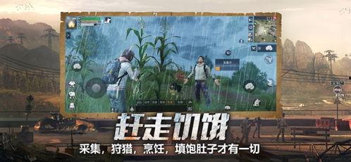 明日之后共创服最新爆料,探索未知领域，开启全新冒险篇章