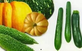 在线免费观看吃瓜,免费观看吃瓜，带你领略影视圈幕后风云