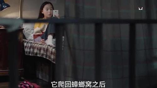 小朋友爆料秘密视频,视频曝光童年趣事