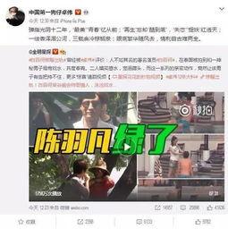 茶事爆料完整视频,揭秘茶叶背后的秘密与传奇故事