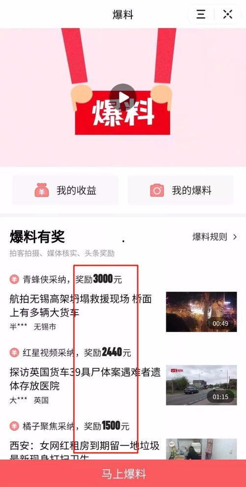 深圳头条排骨爆料视频,排骨爆料视频背后的惊人真相