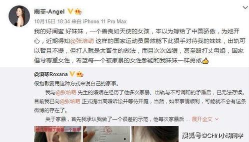 老马老婆爆料视频播放在线观看,揭秘背后惊人真相