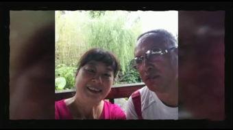 柳  在线观看,穿越时空的古典韵味