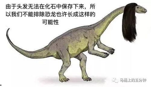 有网友爆料恐龙吗视频,揭秘史前巨兽的真实面貌