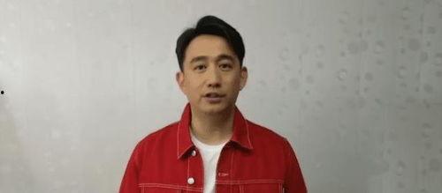 黄磊圈内人爆料视频,娱乐圈背后的真实故事