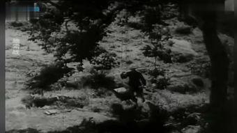 地雷战在线观看,烽火岁月里的英雄传奇