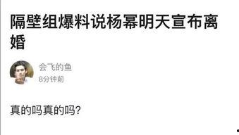 衣哥最新爆料,娱乐圈最新爆料背后的真相