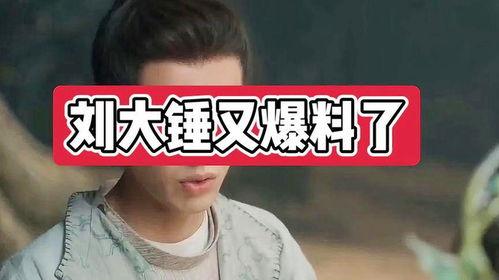 刘大锤最新爆料总结,娱乐圈最新重磅爆料大汇总