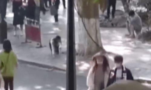 风景爆料女主播是谁啊视频,视频走红背后的故事