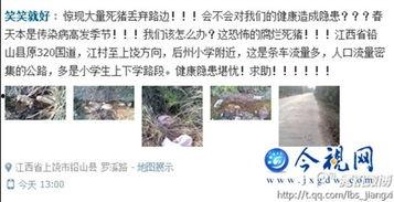 铅山最新爆料事件,揭秘事件背后惊人真相