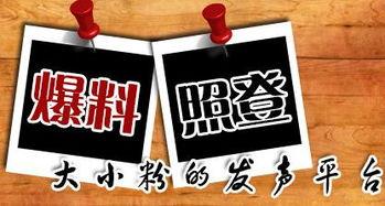 有哪些常见的新闻爆料平台,我国常见的新闻爆料平台大盘点